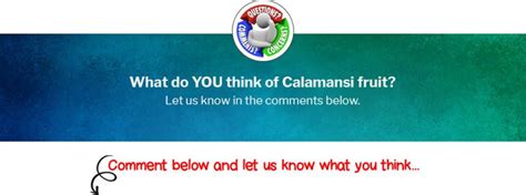 lemonsito in english|Calamansi: The Amazing Tiny Filipino Citrus Fruit.